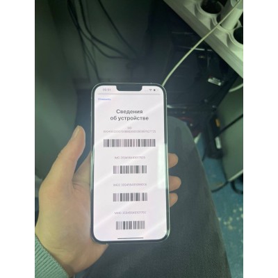 Iphone iPhone 13 Pro Max, 256 ГБ, серебристый, 6 ГБ